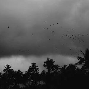 欧美色欧美亚洲另类二区
